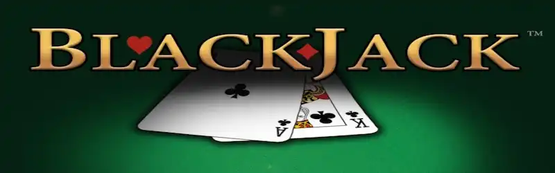 Profitable Blackjack Strategies to Win More & More